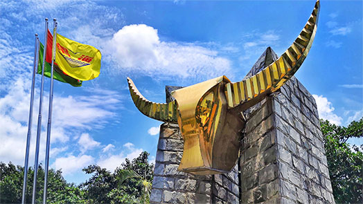 AG庄嫌驻(中国)集团